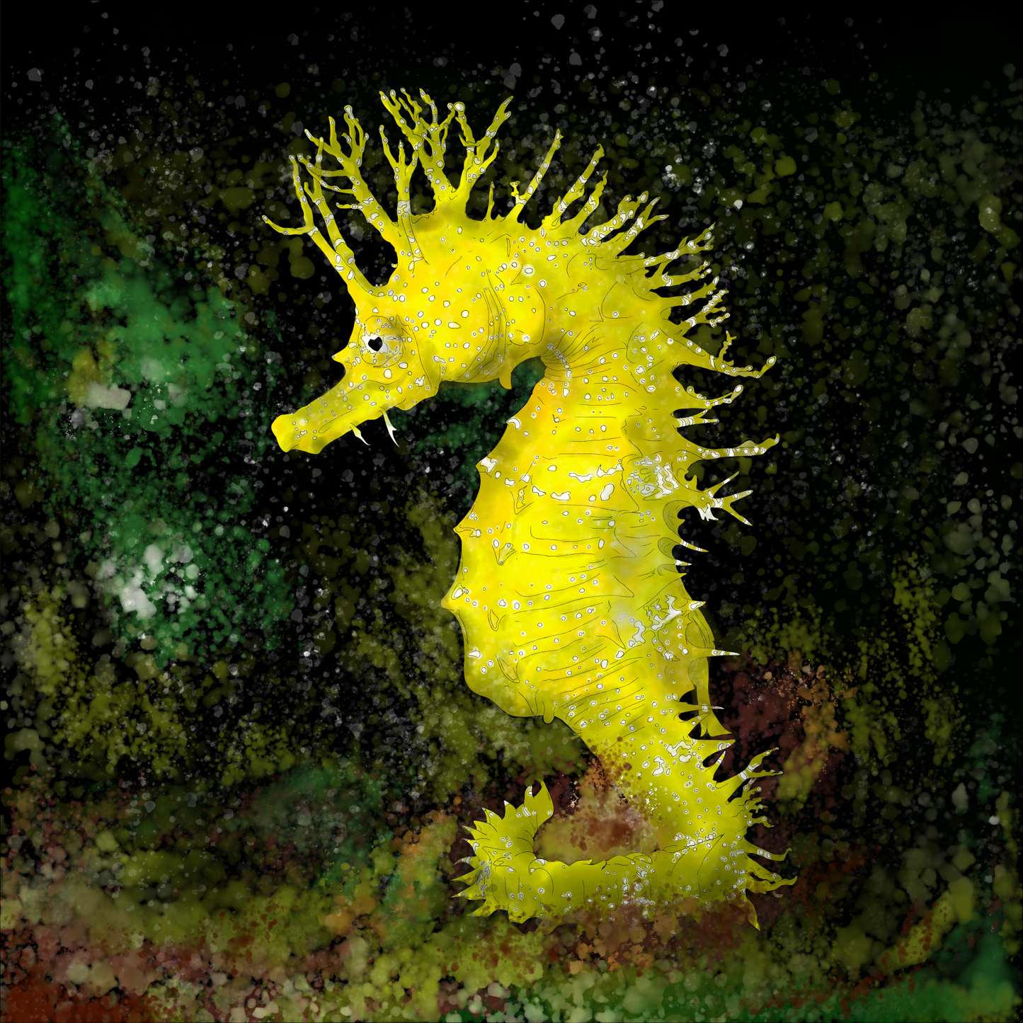 Sea Horse 8x8